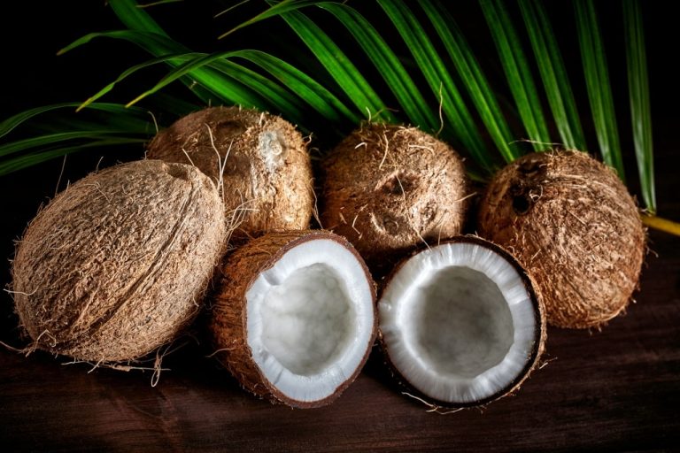 Kokosnoot - Droombetekenis En Symboliek 1