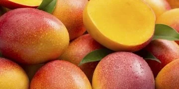 Mango - Droom Betekenis En Symboliek 11