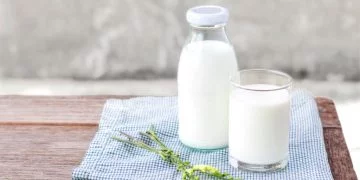 Melk – Droom Betekenis En Symboliek 24