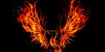 Phoenix – Droom Betekenis En Symboliek 2
