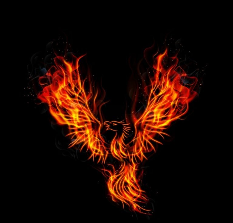 Phoenix – Droom Betekenis En Symboliek 1