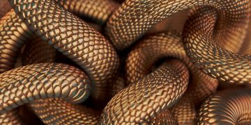 Veel Slangen – Droom Betekenis En Symboliek 90