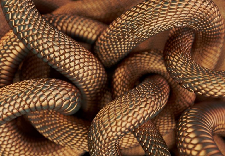 Veel Slangen – Droom Betekenis En Symboliek 1