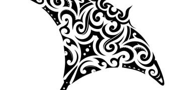 Arraia Maori – Droom Betekenis En Symboliek 2