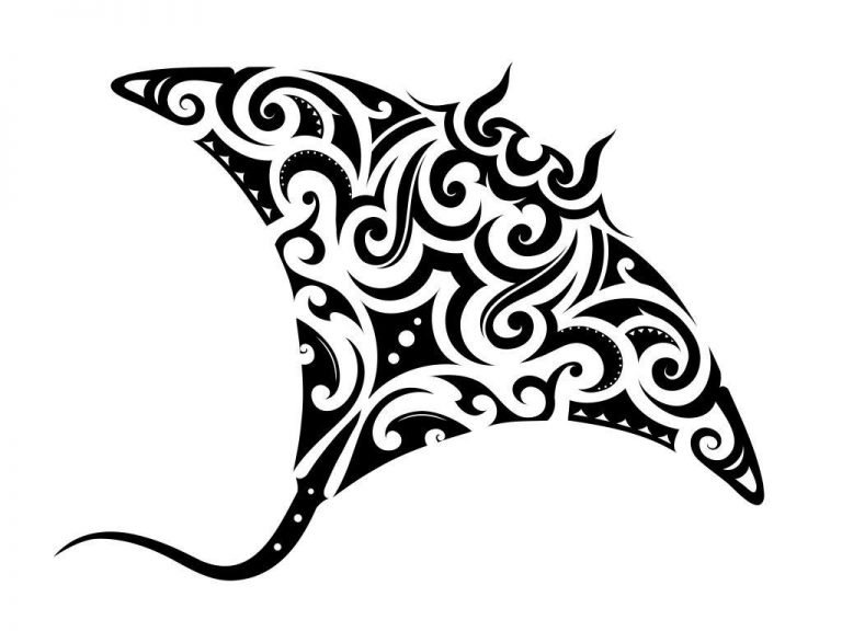 Arraia Maori – Droom Betekenis En Symboliek 1